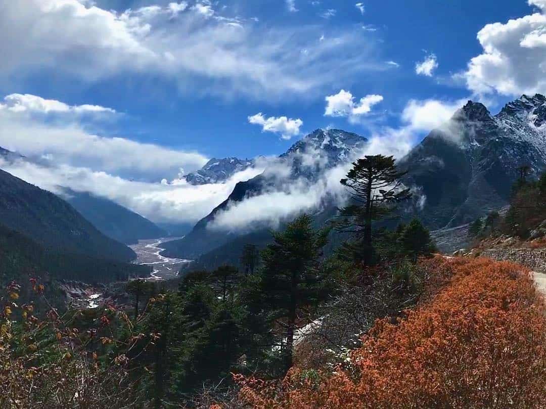 Yumthang Valley 