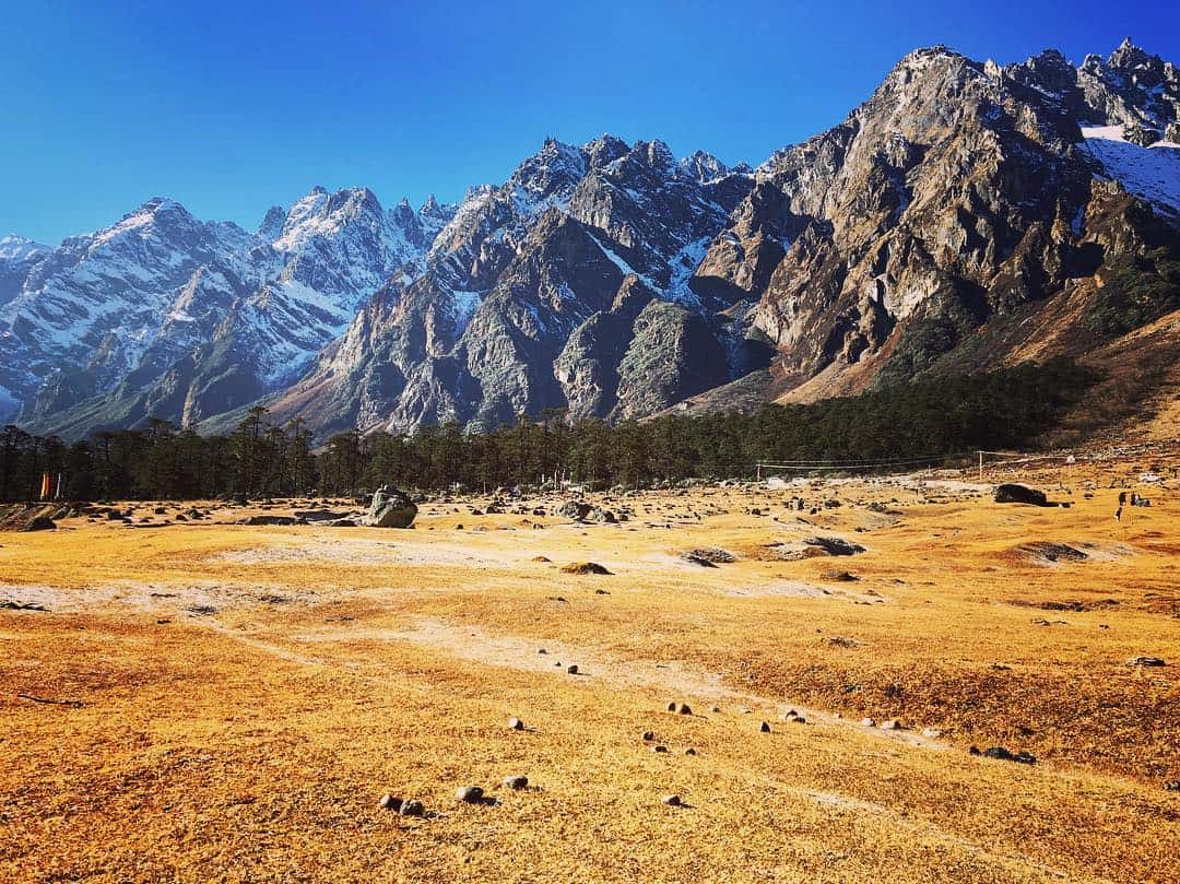 Yumthang Valley 