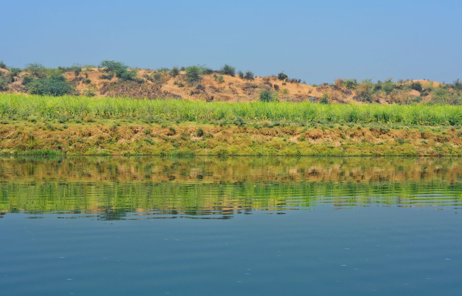 chambal river safari agra