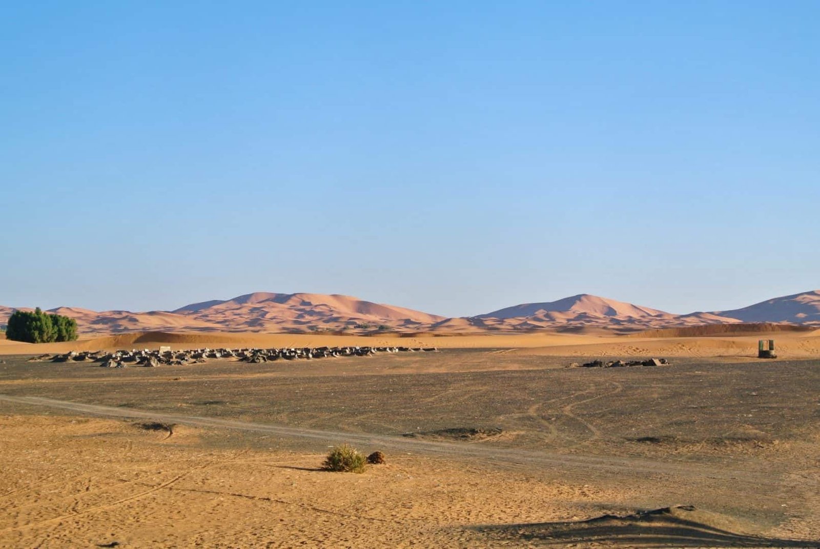 Morocco Desert Travel Guide