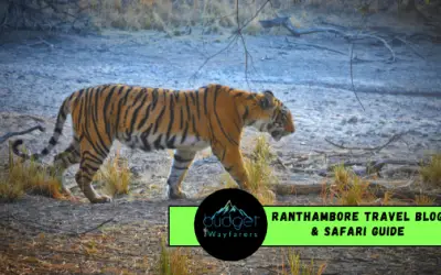 The Only Ranthambore Travel Blog & Safari Guide You Need