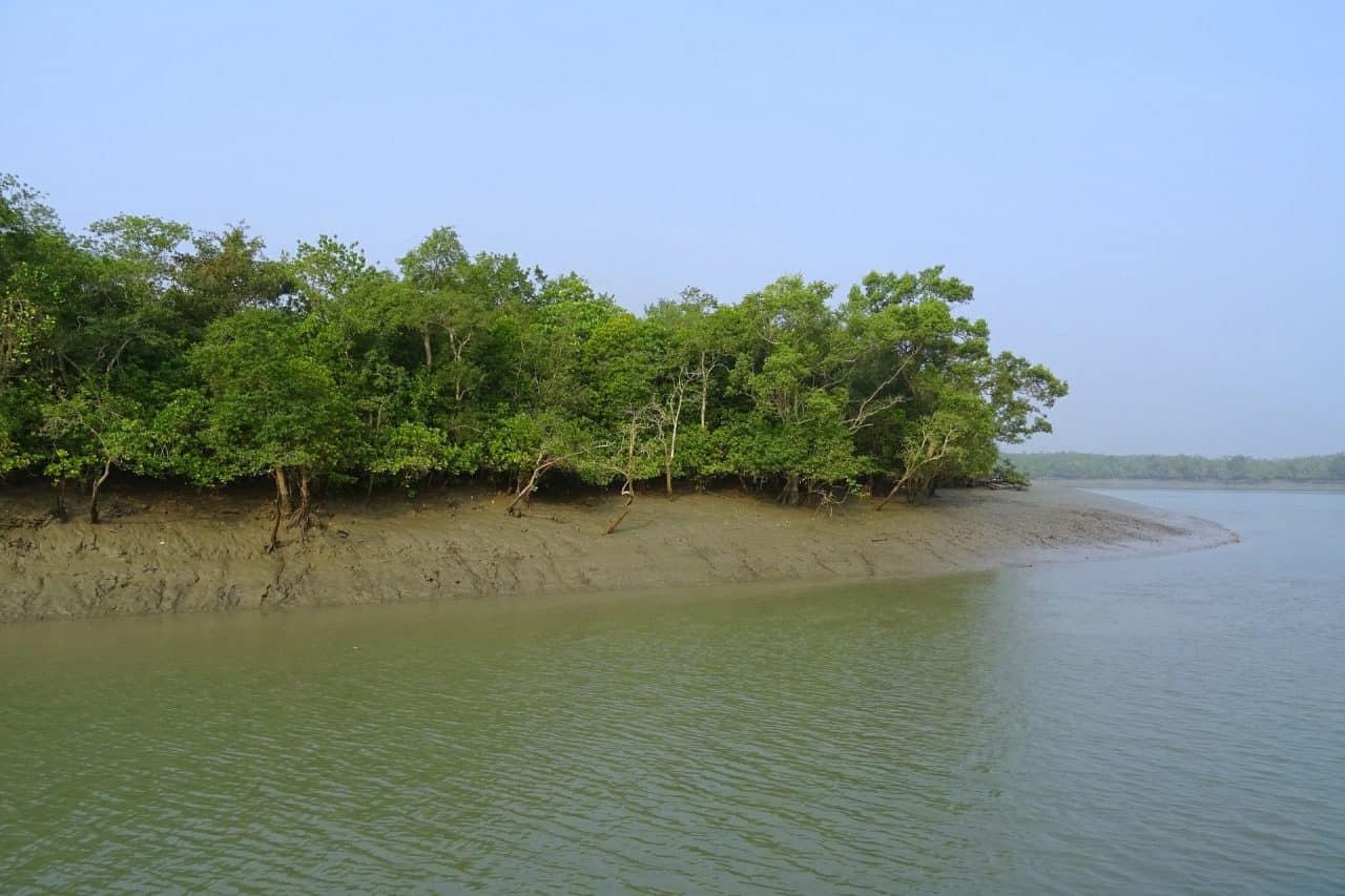 is-sundarban-safe-for-travelers-a-personal-blog-on-man-versus-wild