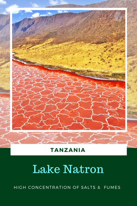 deadly lake natron facts