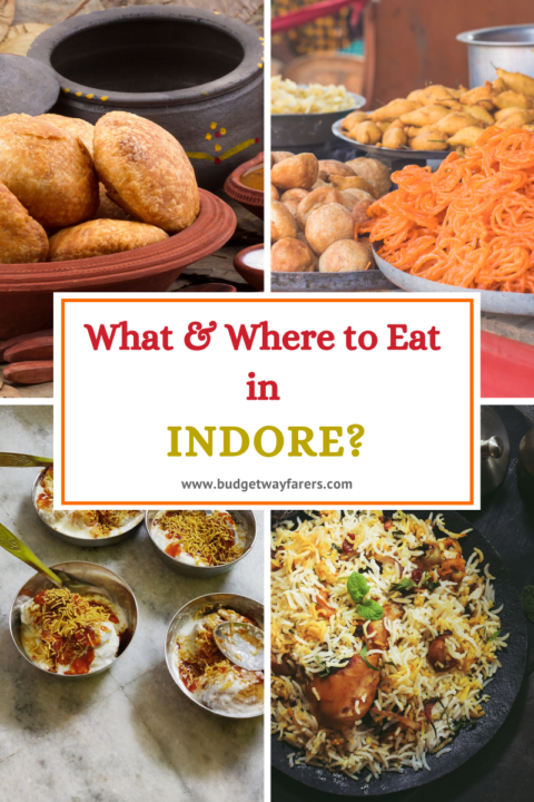 Indore Food Guide: Best Budget Eateries for a First Time Traveler