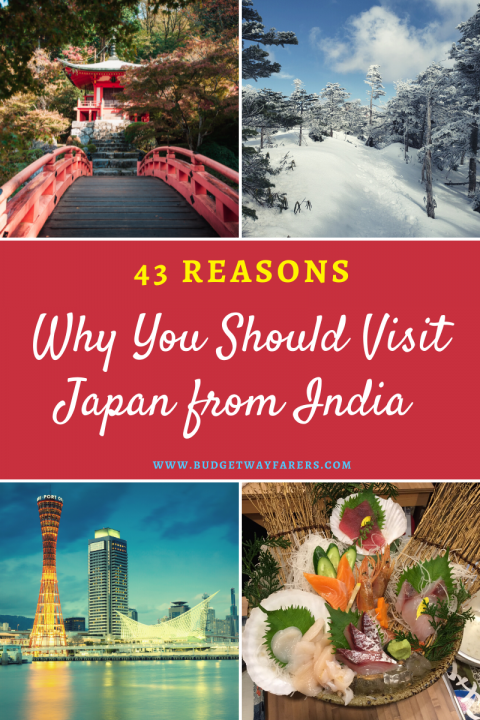 travel japan from india