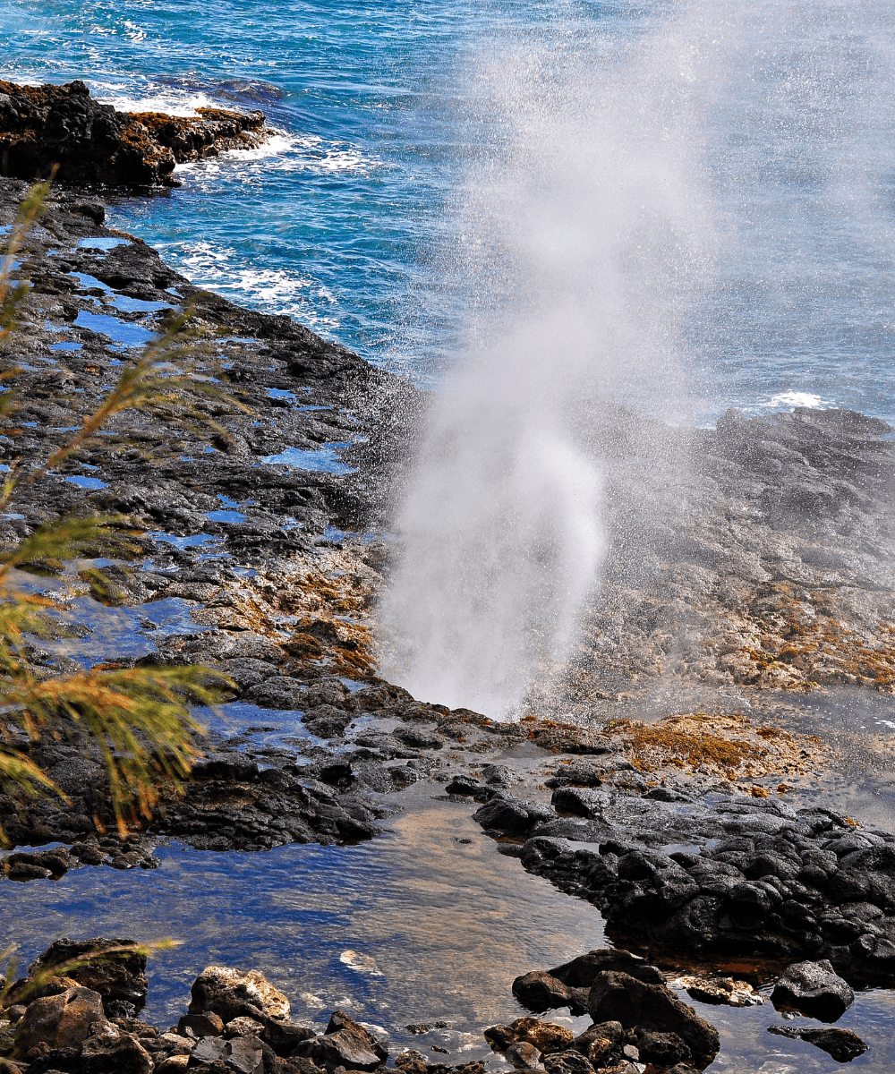 Hawaii vs Aruba Sightseeing