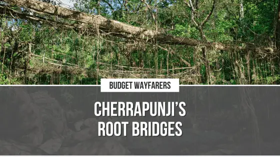 I Loved My Short Hikes on Cherrapunji’s Living Root Bridges! So will You!