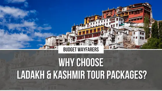 Exploring the Best of Ladakh & Kashmir –  The Majestic Land